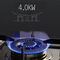 烟气分析仪在热电联产中的应用基础知识