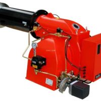 白山市：强化燃煤锅炉整治 为蓝天“减负”