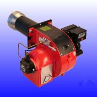 这些国外生物质锅炉供热厂商，你了解吗？