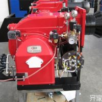 【成功案例】威斯特20吨低氮燃烧器验收现场，第三方实测NOx 24mg