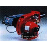 低氮燃烧器和锅炉如何工作？-